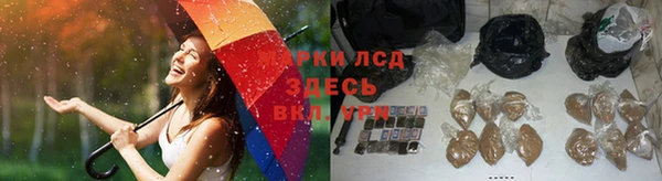PSILOCYBIN Баксан