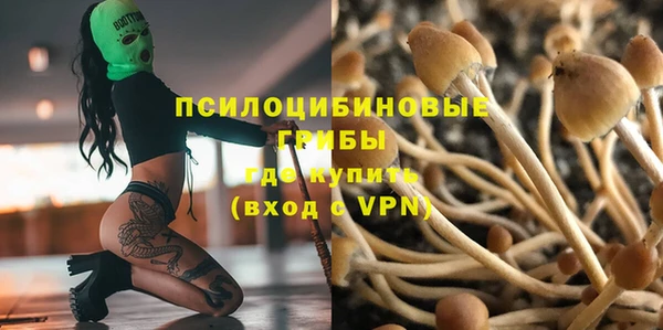 PSILOCYBIN Баксан