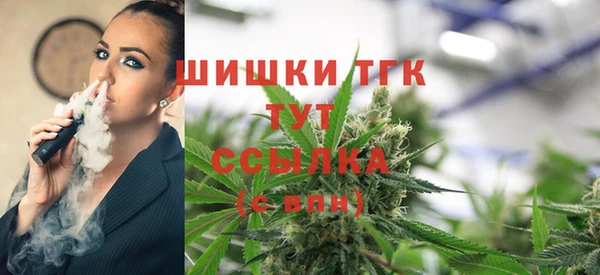 PSILOCYBIN Баксан