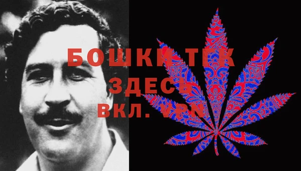 PSILOCYBIN Баксан